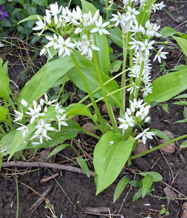 1695942139638_BKJhYUm2g6t4rTAr